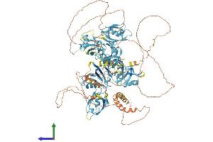 AlphaFold protein structure predicition of Mouse Recombinant Grip1 Protein, UniprotID Q925T6