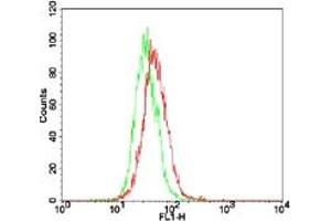 Image no. 1 for anti-Toll-Like Receptor 7 (TLR7) (AA 706-728) antibody (FITC) (ABIN956807) (TLR7 antibody  (AA 706-728) (FITC))