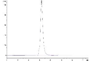 The purity of Human CD200 is greater than 95 % as determined by SEC-HPLC. (CD200 Protein (CD200) (AA 31-232) (Fc Tag))
