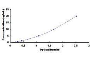 Cyclin-Dependent Kinase 8 (CDK8) ELISA Kit
