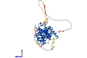 Protein Structure (PS) image for Cyclin A2 (CCNA2) (AA 1-422) protein (His tag) (ABIN7563406)