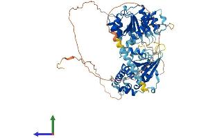 Protein Structure (PS) image for DEAD (Asp-Glu-Ala-Asp) Box Polypeptide 18 (DDX18) (AA 1-660) protein (His tag) (ABIN7559536)