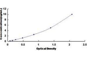 Typical standard curve (HS6ST3 ELISA Kit)