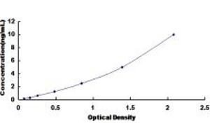 Typical standard curve (HS6ST3 ELISA Kit)