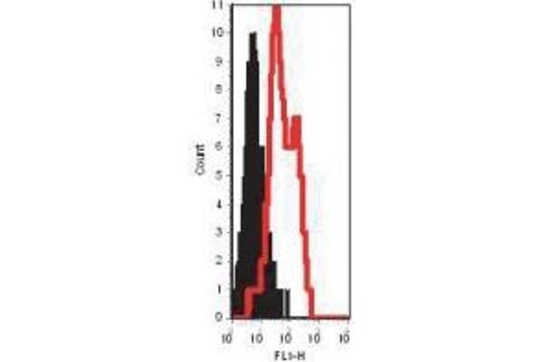 TLR12 antibody  (AA 700-800)