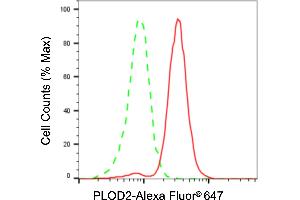 Flow cytometric analysis of PLOD2 expression in HT- cells using PLOD2 antibody (ABIN7799903), 1:2,000).
