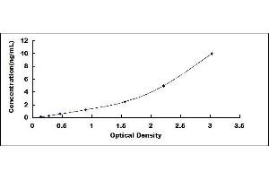 Ataxin 3 (ATXN3) ELISA Kit