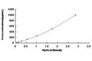 Interleukin-1 Receptor-Associated Kinase 4 (IRAK4) ELISA Kit