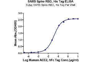 SARS-CoV Spike Protein (RBD) (His-Avi Tag)