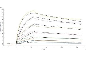 Surface Plasmon Resonance (SPR) image for SARS-CoV-2 Spike S1 protein (His tag) (ABIN6952427)