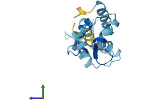 AlphaFold protein structure predicition of Mouse Recombinant Calml3 Protein, UniprotID Q9D6P8