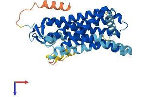 AlphaFold protein structure predicition of Human Recombinant OR5H6 Protein, UniprotID Q8NGV6 (OR5H6 Protein (AA 1-325) (His tag))