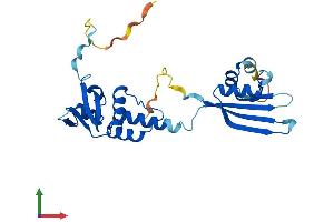 AlphaFold protein structure predicition of Mouse Recombinant Kctd1 Protein, UniprotID Q5M956 (KCTD1 Protein (AA 1-257) (His tag))