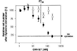 Specific inhibition of IL-13-dependentproliferation of TF-1 cells by GM-1E7.