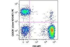 Flow Cytometry (FACS) image for anti-Chemokine (C-X3-C Motif) Receptor 1 (CX3CR1) antibody (PE) (ABIN2662696) (CX3CR1 antibody  (PE))