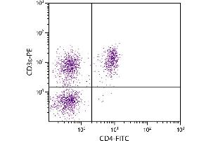 Porcine peripheral blood lymphocytes were stained with Mouse Anti-Porcine CD3ε-PE. (CD3 epsilon antibody  (FITC))