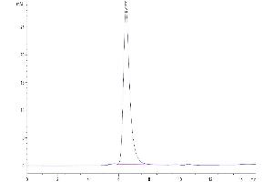 The purity of Human LILRA6 is greater than 95 % as determined by SEC-HPLC.