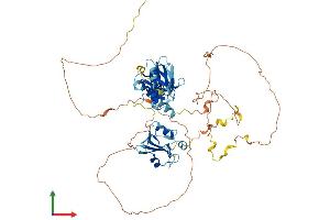 AlphaFold protein structure predicition of Mouse Recombinant Shc1 Protein, UniprotID P98083 (SHC1 Protein (AA 1-579) (His tag))