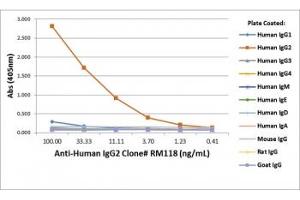 ELISA of human immunoglobulins shows recombinant Human IgG2 antibody only reacted to hIgG2. (Recombinant Rabbit anti-Human IgG2 Antibody)