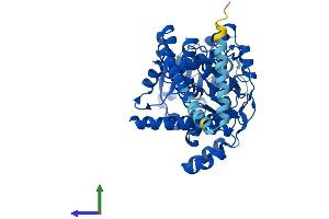 AlphaFold protein structure predicition of Human Recombinant FAR1 Protein, UniprotID Q8WVX9 (FAR1 Protein (AA 1-515) (His tag))