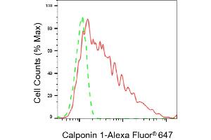 Flow cytometric analysis of Calponin 1 expression in C2C12 cells using Calponin 1 antibody (ABIN7797851), 1:2,000).