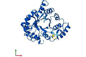 AlphaFold protein structure predicition of Mouse Recombinant Akr1e2 Protein, UniprotID Q9DCT1