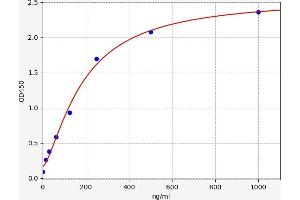 Typical standard curve (FNDC5 ELISA Kit)