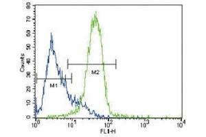 GATA4 antibody flow cytometric analysis of HepG2 cells (green) compared to a negative control (blue). (GATA4 antibody  (AA 298-328))