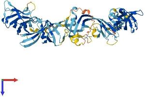 AlphaFold protein structure predicition of Mouse Recombinant Themis3 Protein, UniprotID Q9CU24 (THEMIS3 Protein (AA 1-569) (His tag))