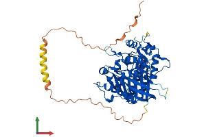 Protein Structure (PS) image for Phospholipase D4 (PLD4) (AA 1-503) protein (His tag) (ABIN7558514)