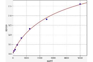 ADAMTS20 ELISA Kit