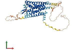 Protein Structure (PS) image for Cholecystokinin B Receptor (CCKBR) (AA 1-447) protein (His tag) (ABIN7553974)