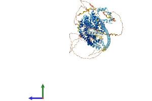 AlphaFold protein structure predicition of Human Recombinant DIAPH1 Protein, UniprotID O60610 (DIAPH1 Protein (AA 1-1272) (His tag))