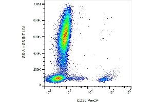 Flow cytometry analysis (surface staining) of human peripheral blood with anti-CD20 (2H7) PerCP. (CD20 antibody  (PerCP))