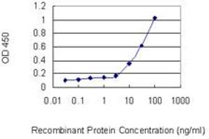Detection limit for recombinant GST tagged KCNJ15 is 3 ng/ml as a capture antibody. (KCNJ15 antibody  (AA 290-355))