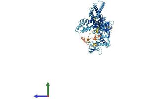 AlphaFold protein structure predicition of Mouse Recombinant Arhgef37 Protein, UniprotID A1IGU4