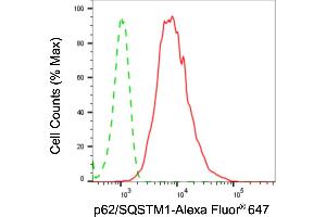 Flow cytometric analysis of p62/SQSTM1 expression in HepG2 cells using p62/SQSTM1 antibody (ABIN7800299), 1:2,000). (Recombinant SQSTM1 antibody)