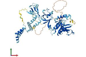AlphaFold protein structure predicition of Human Recombinant MPP7 Protein, UniprotID Q5T2T1