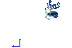 Protein Structure (PS) image for Chromosome 16 Open Reading Frame 61 (C16orf61) (AA 1-79) protein (Fc Tag) (ABIN7559464)