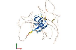 AlphaFold protein structure predicition of Mouse Recombinant Ptpn22 Protein, UniprotID P29352 (PTPN22 Protein (AA 1-802) (His tag))