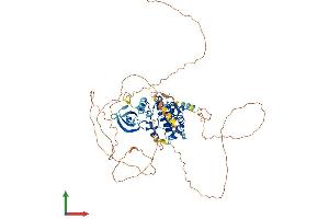 Protein Structure (PS) image for NUAK Family, SNF1-Like Kinase, 2 (NUAK2) (AA 1-639) protein (His tag) (ABIN7559051)