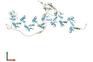Protein Structure (PS) image for Zinc Finger Protein 836 (ZNF836) (AA 1-936) protein (His tag) (ABIN7545502)