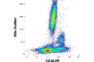 Flow cytometry surface staining pattern of human peripheral whole blood stained using anti-human CD38 (HIT2) PE antibody (20 μL reagent / 100 μL of peripheral whole blood). (CD38 antibody  (PE))