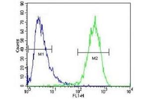 ABCC10 antibody flow cytometric analysis of HepG2 cells (right histogram) compared to a negative control (left histogram). (ABCC10 antibody  (AA 767-793))