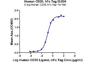 ELISA image for Tumor Necrosis Factor Receptor Superfamily, Member 8 (TNFRSF8) (AA 19-379) protein (Fc Tag) (ABIN7274148)
