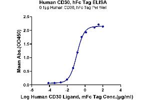Immobilized Human CD30, hFc Tag at 1 μg/mL (100 μL/Well) on the plate. (TNFRSF8 Protein (AA 19-379) (Fc Tag))