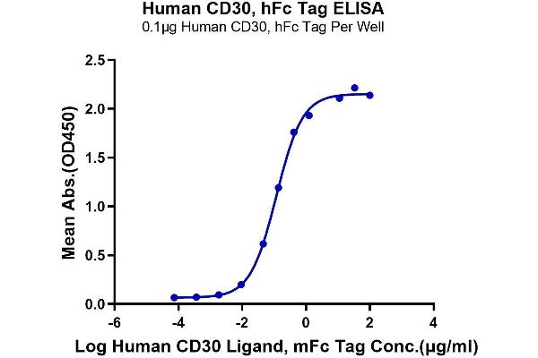 TNFRSF8 Protein (AA 19-379) (Fc Tag)