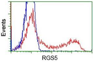 HEK293T cells transfected with either RC206857 overexpress plasmid (Red) or empty vector control plasmid (Blue) were immunostained by anti-RGS5 antibody (ABIN2454699), and then analyzed by flow cytometry. (RGS5 antibody  (AA 1-181))