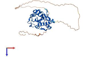 AlphaFold protein structure predicition of Human Recombinant ERI3 Protein, UniprotID O43414