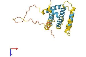 BID Protein (AA 1-195) (His tag)